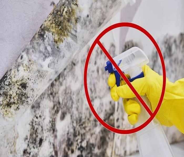 white wall with black mold spots, hand with yellow glove holding a white spray bottle crossed out with a red line 