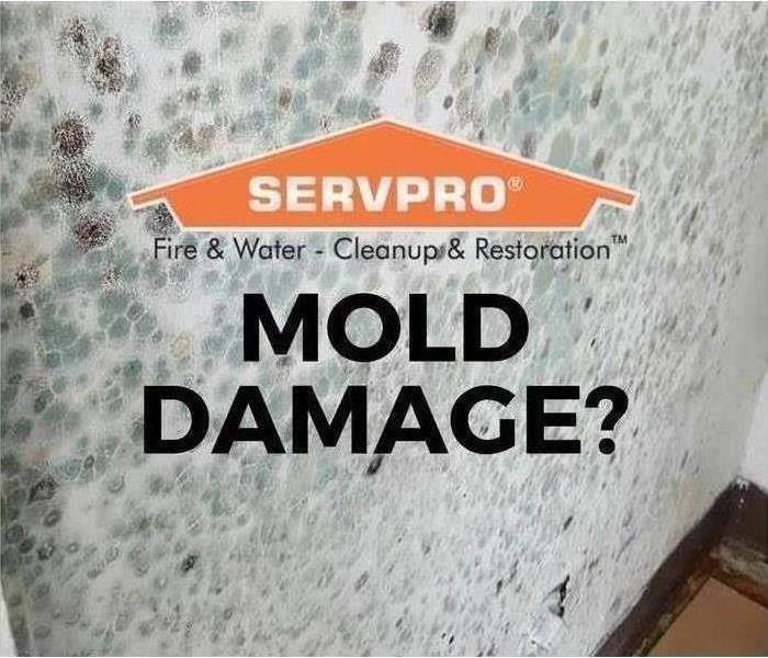 SERVPRO orange add, white wall will mold