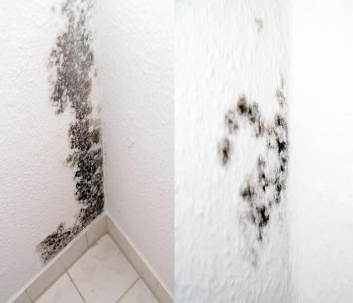 white wall and white tile flooring with mold growing on the wall
