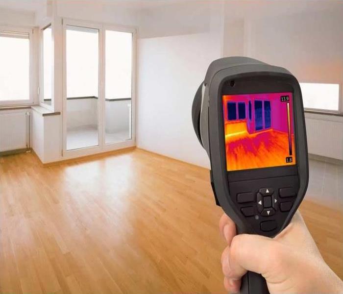 room with wood flooring and white walls, hand holding a moisture detector 