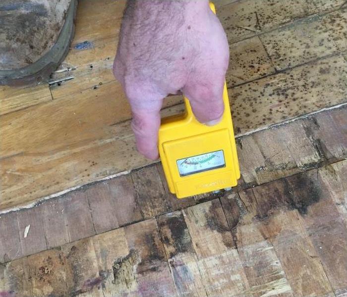 yellow moisture meter indicates black mold on brown laminate flooring